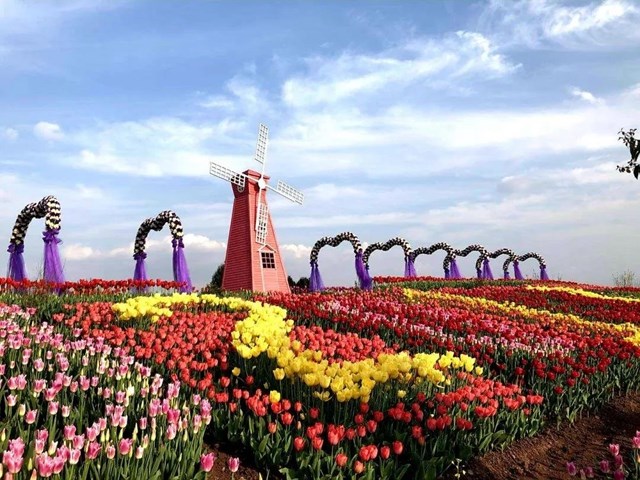 陽光明媚好踏春！內(nèi)江這些地方有花有景有美食