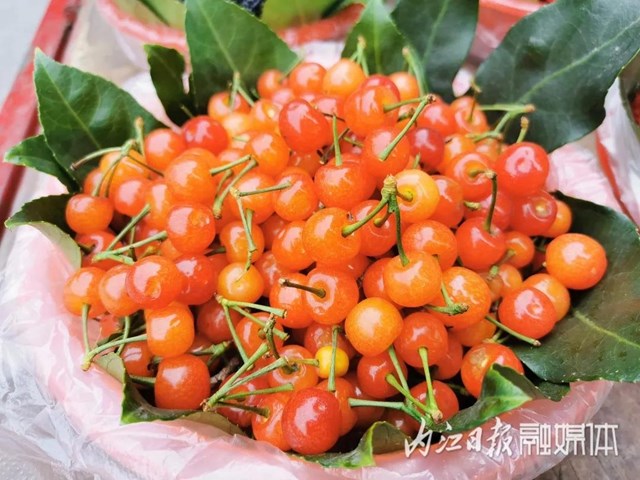 鮮美！春游內(nèi)江尋野味