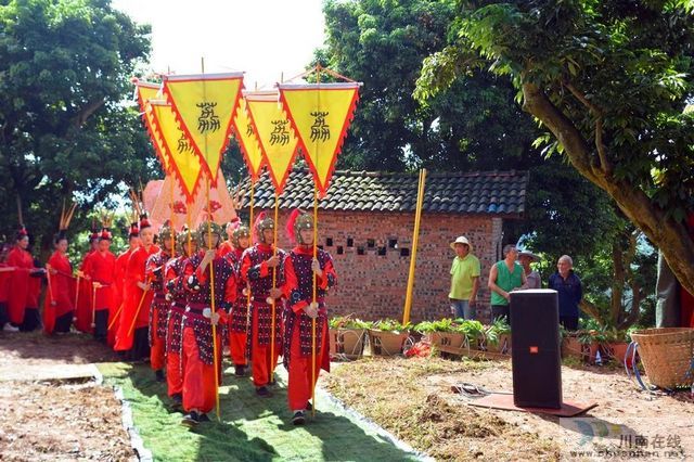 荔枝紅了！2020年合江荔枝采摘儀式在百年荔枝林舉行