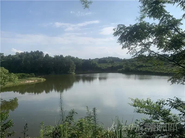 湖光山色兩相和，內(nèi)江這處“寶藏”湖泊太適合夏天出游！