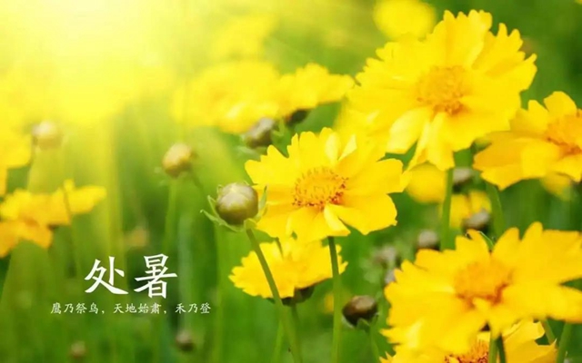 【處暑】今天起，養(yǎng)生注意這三點(diǎn)！