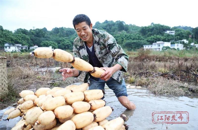 蔬菜太貴？江陽本土吃貨專場來咯！美味還實(shí)惠，買它！