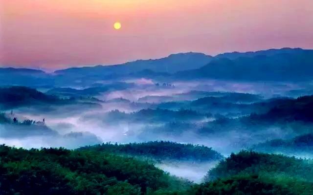 觀竹景、賞竹文、品竹食……快來領略宜賓最美竹游風情！