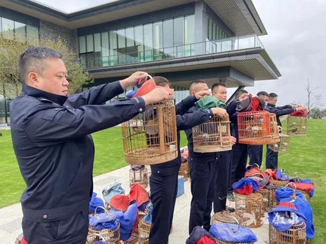 敘永公安解救了66只“小可愛”，這些人將被關(guān)進(jìn)法律的“籠子”！