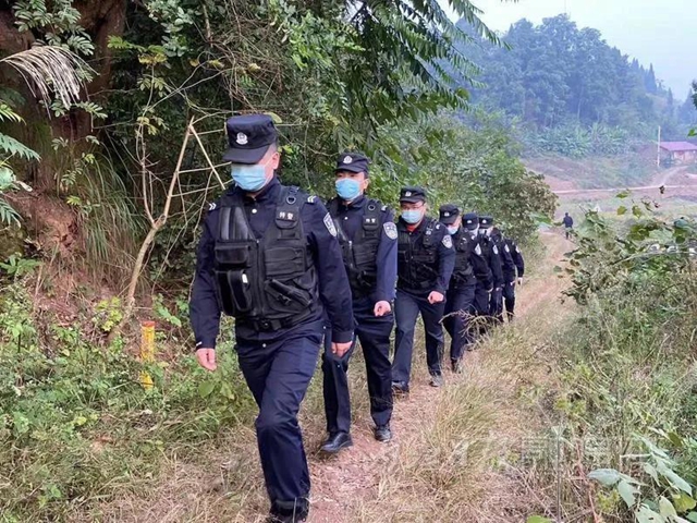 搜山！600斤“巨獸”傷人，內(nèi)江警方合圍擊斃