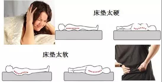 【擴(kuò)散】床不是越硬越好，看看您適合睡哪種床？(圖4)