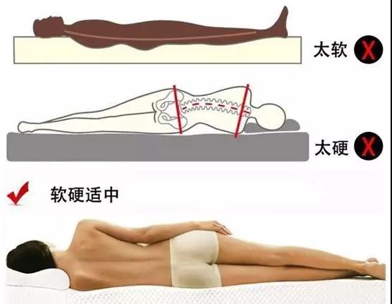 【擴(kuò)散】床不是越硬越好，看看您適合睡哪種床？(圖5)