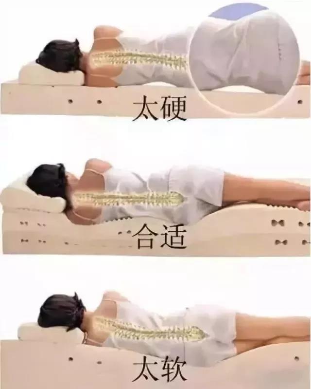 【擴(kuò)散】床不是越硬越好，看看您適合睡哪種床？(圖6)