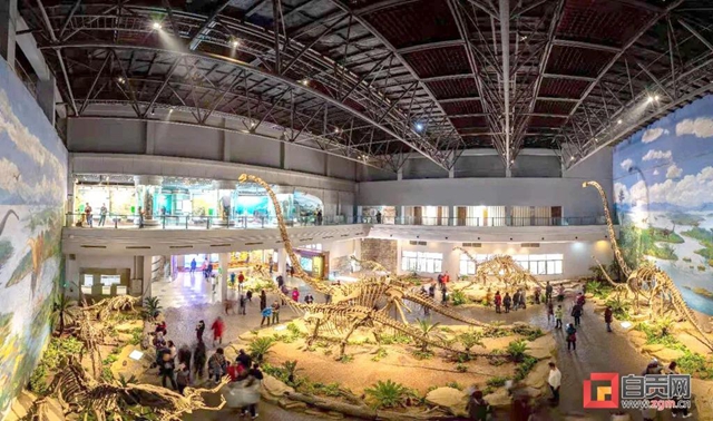 元旦就去！自貢推出4條精品旅游線路(圖3)