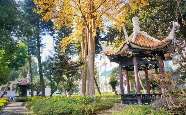 按二級醫(yī)院收費 享三甲醫(yī)院服務(wù)——專訪西南醫(yī)科大學(xué)附屬第四醫(yī)院副院長卓乃強(圖5)