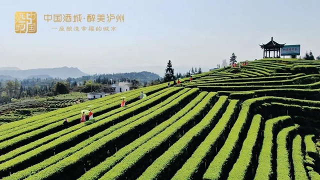 過江通道建設(shè)、新型消費(fèi)場景打造、高鐵新城組團(tuán)…瀘州的2022年，值得期待！(圖5)