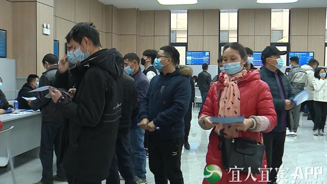 宜賓人力資源服務(wù)產(chǎn)業(yè)園正式開園！找工作看過來(圖5)
