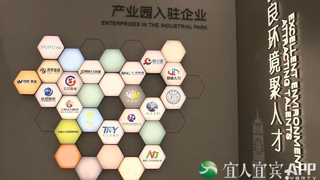 宜賓人力資源服務(wù)產(chǎn)業(yè)園正式開園！找工作看過來(圖4)