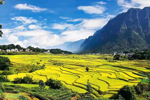 山川遼闊，人間值得丨踏上敘永丹山之旅(圖3)