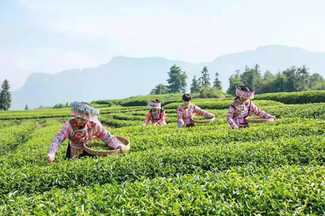 山川遼闊，人間值得丨踏上敘永丹山之旅(圖7)