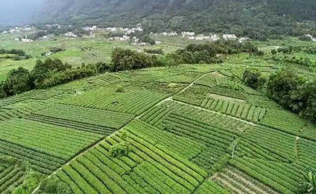 山川遼闊，人間值得丨踏上敘永丹山之旅(圖8)