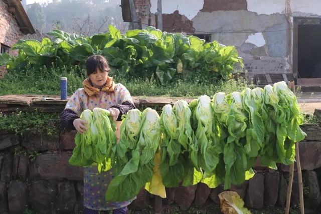 古藺獨(dú)特味道！這私藏美味，你沒吃過就太可惜啦！
