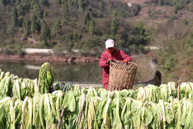 古藺獨特味道！這私藏美味，你沒吃過就太可惜啦！(圖4)