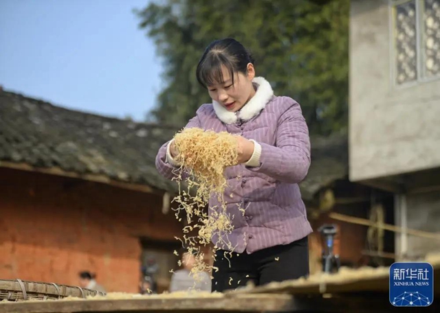 新華社關(guān)注丨一年賣4000萬斤蘿卜！瀘州妹子“川香秋月”創(chuàng)造了銷售奇跡(圖1)