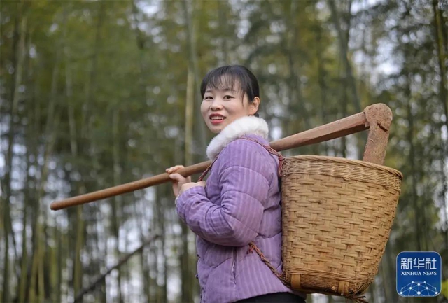 新華社關(guān)注丨一年賣4000萬斤蘿卜！瀘州妹子“川香秋月”創(chuàng)造了銷售奇跡