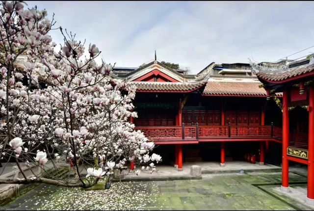 春節(jié)怎么過？有顏值、有內涵！一起去逛瀘州這些博物館