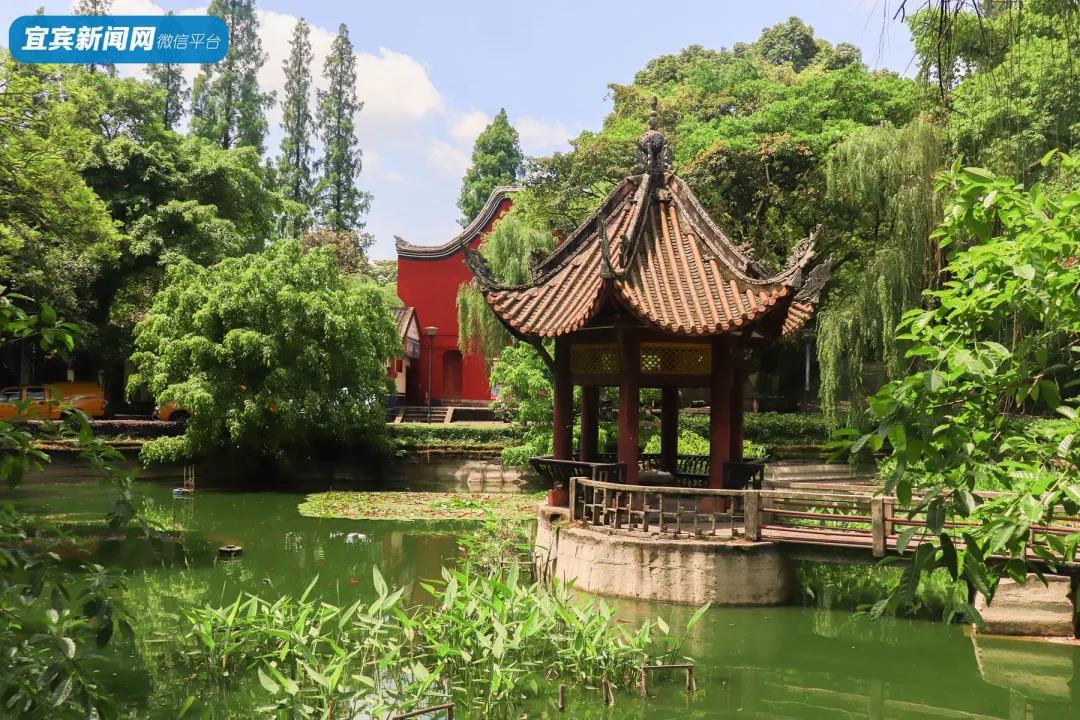 過(guò)年登高好去處！宜賓這幾座山景色絕佳！(圖2)