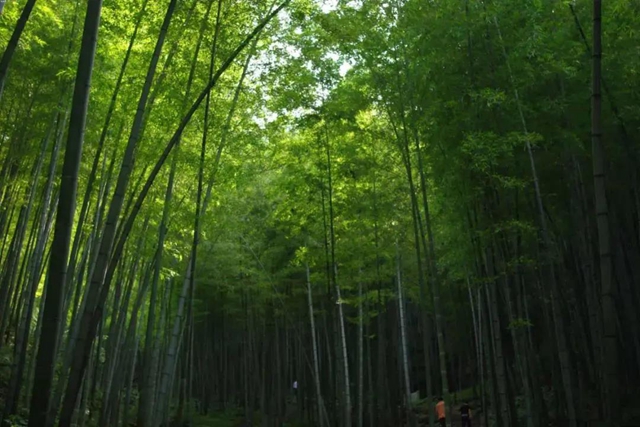 內(nèi)江超好耍的鄉(xiāng)村旅游點(diǎn)都在這了，你覺(jué)得最安逸的是哪一個(gè)？(圖2)