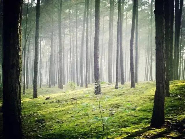 內(nèi)江超好耍的鄉(xiāng)村旅游點(diǎn)都在這了，你覺(jué)得最安逸的是哪一個(gè)？(圖11)