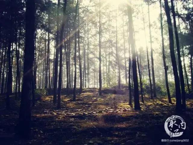 內(nèi)江超好耍的鄉(xiāng)村旅游點(diǎn)都在這了，你覺(jué)得最安逸的是哪一個(gè)？(圖12)
