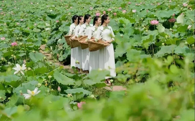內(nèi)江超好耍的鄉(xiāng)村旅游點(diǎn)都在這了，你覺(jué)得最安逸的是哪一個(gè)？(圖15)