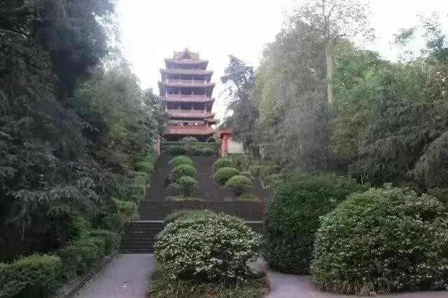 內(nèi)江超好耍的鄉(xiāng)村旅游點(diǎn)都在這了，你覺(jué)得最安逸的是哪一個(gè)？(圖28)