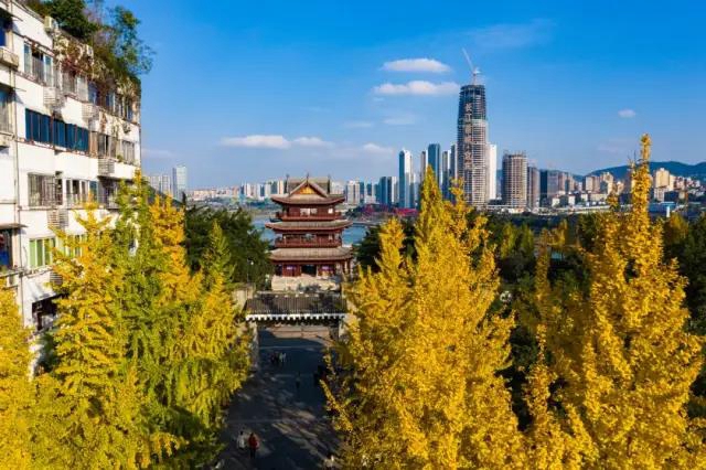 這個(gè)春節(jié) 宜賓“新十景”你都打卡了哪些？(圖11)