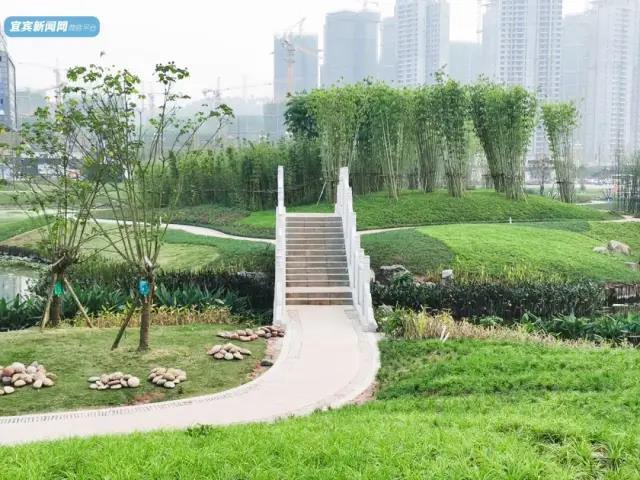 這個(gè)春節(jié) 宜賓“新十景”你都打卡了哪些？(圖12)