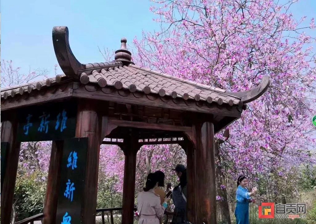 富順趙化古鎮(zhèn)入圍國家4A級旅游景區(qū)！(圖12)
