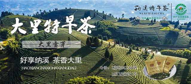 四川第九屆茶葉開采活動周19日在納溪啟動