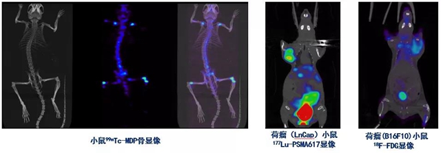 西南首臺小動物SPECT/CT在西南醫(yī)大附院投入使用(圖2)