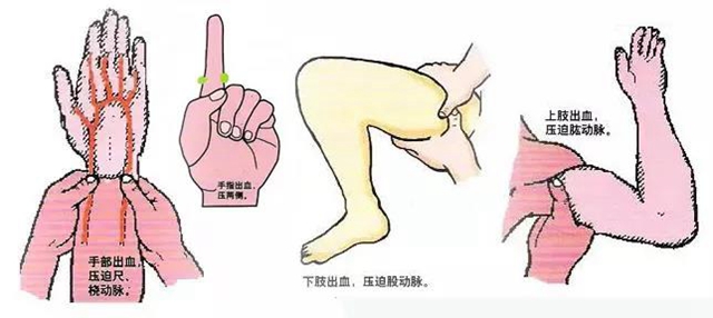 【熱門】比“冰墩墩”更火的是！(圖11)
