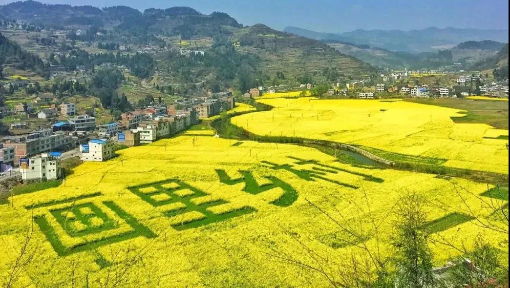 踏青賞花正當(dāng)時，瀘州發(fā)布多條賞花線路(圖5)