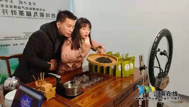 早安中國，茶香世界！四川第九屆茶葉開采活動(dòng)周在納溪啟幕(圖3)
