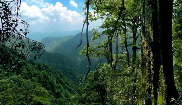 正是登山好時節(jié)丨一起出門，遇見春天(圖13)