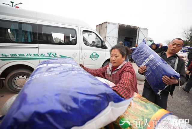 102噸！宜賓這個地方免費發(fā)大春糧食種子了！(圖3)