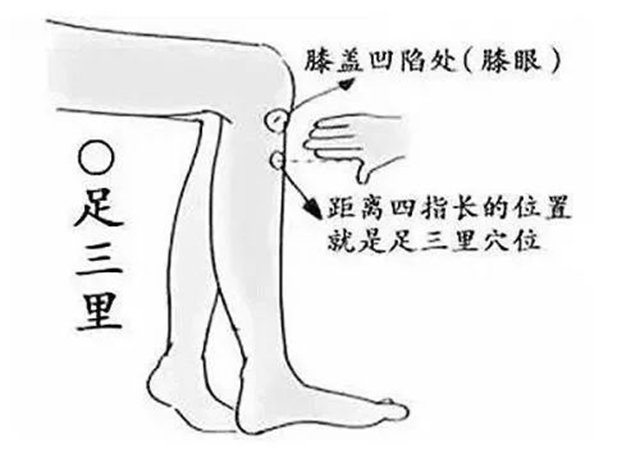 【擴(kuò)散】這些中醫(yī)辦法，可提升身體免疫力！(圖13)