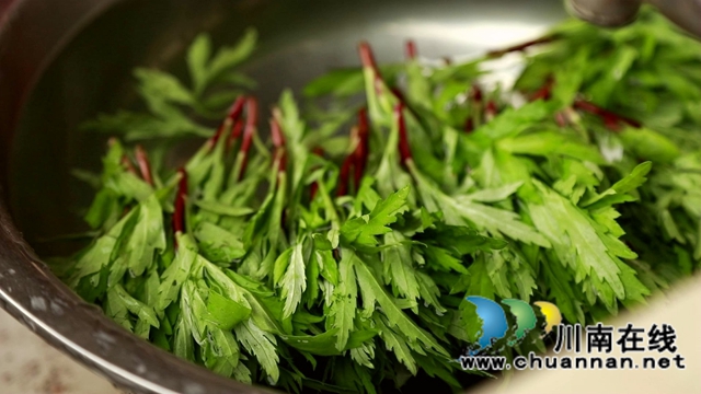 合江：春天的饋贈，一桌野菜做出美味佳肴(圖11)