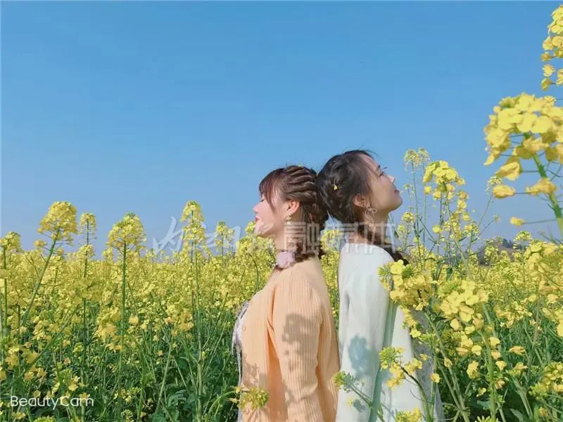 曬太陽了！內(nèi)江戶外親子出游好去處匯總，沖鴨——