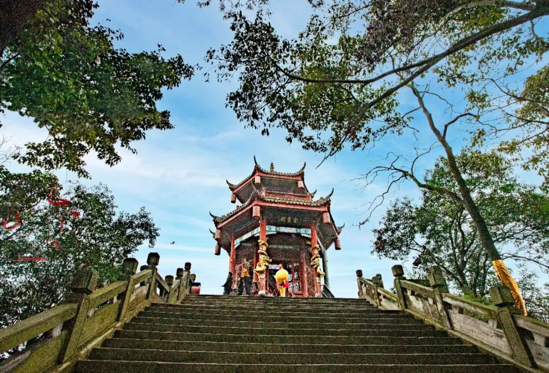 收藏！瀘縣踏青賞花地圖出爐，趕緊約起！(圖9)