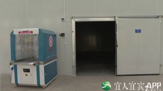 硬核守護(hù)不斷“鏈”！宜賓新啟用進(jìn)口冷鏈?zhǔn)称芳斜O(jiān)管倉(cāng)(圖4)