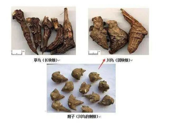 瀘州大姐誤服毒藥，全身僵硬麻木……(圖5)