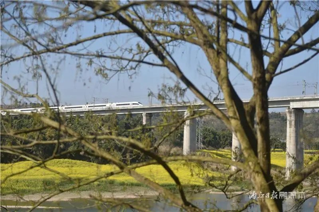 告內(nèi)江市民：乘上這路列車，你就能進入一個“夢幻境界”(圖5)