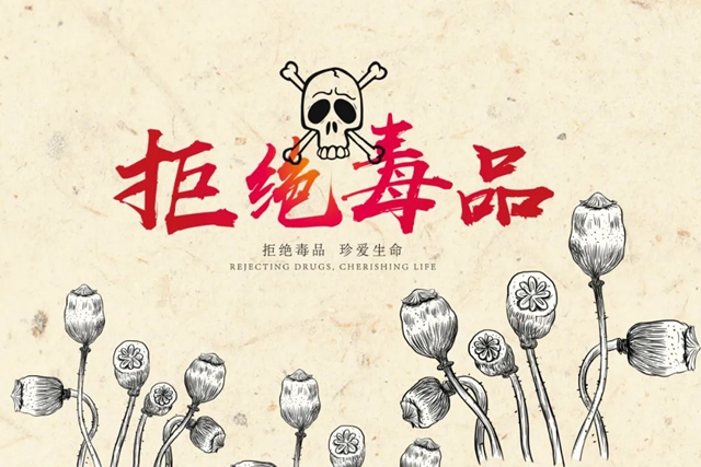 毒偏方，瀘州兩女子深山種罌粟2000余株
