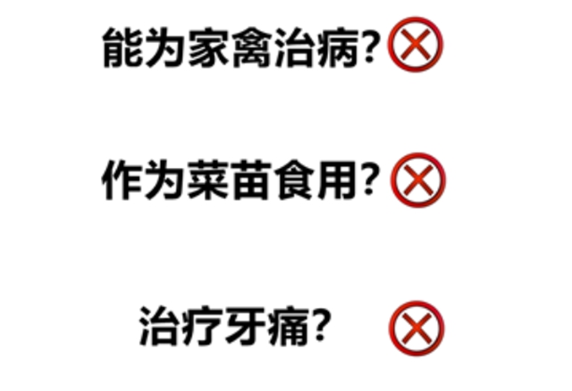 毒偏方，瀘州兩女子深山種罌粟2000余株(圖2)